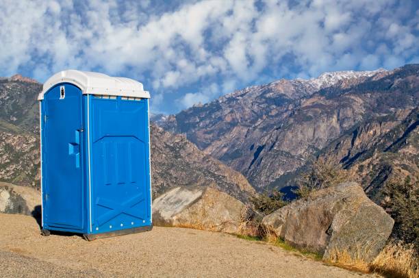 Best Local porta potty services  in Hamton, IL